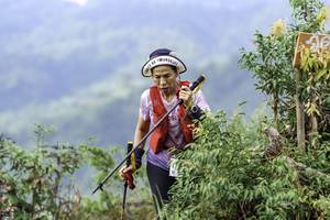 BIB: 
                            <button type="button" onclick="openModal(24765150)" class="btn btn-primary btn-sm float-right btn-popup" data-toggle="modal" data-target=".modal-high-quality">
                        <i class="fas fa-shopping-cart"></i> Add to Cart
                    </button>
                                            <button type="button" onclick="isThisMe(24765150, true)" class="btn btn-success btn-sm float-right btn-popup btn-isme hidden" data-toggle="tooltip" data-placement="bottom" title="นี่คือรูปของคุณใช่ไหม คลิกที่นี่เพื่อเอาเข้าอัลบั้ม">
                        <i class="fas fa-plus"></i> Add to album
                    </button>
                    <button type="button" onclick="isThisMe(24765150, false)" class="btn btn-warning btn-sm float-right btn-popup btn-isnotme hidden">
                        <i class="fas fa-ban"></i> Remove from album
                    </button>